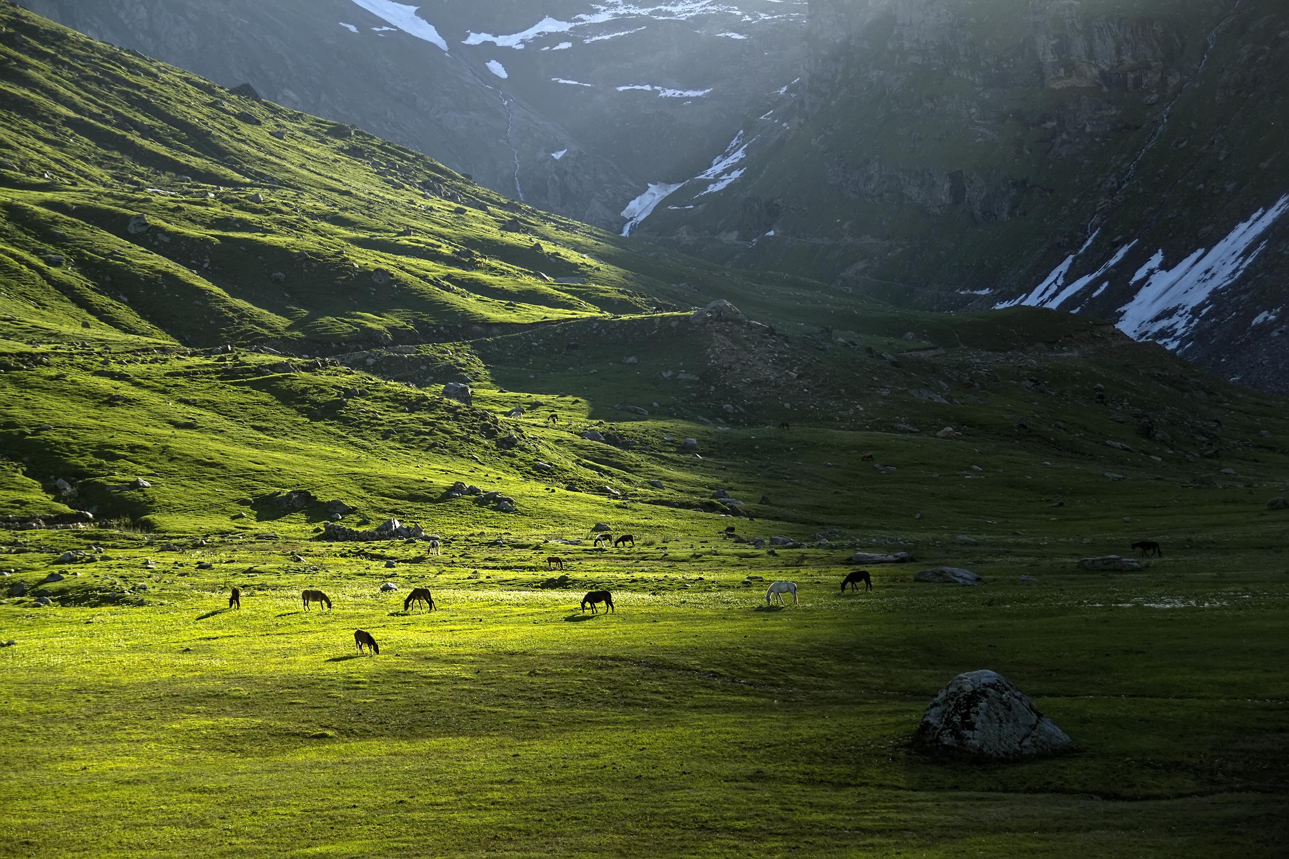 Shounter Valley