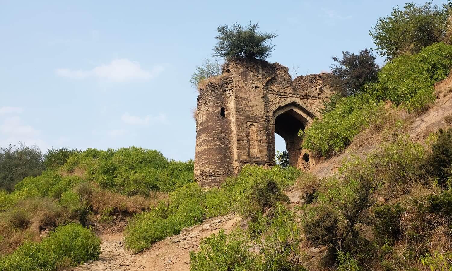 Pharwala Fort